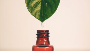 Étudier les teintures-mères : pourquoi leur compréhension est essentielle en naturopathie
